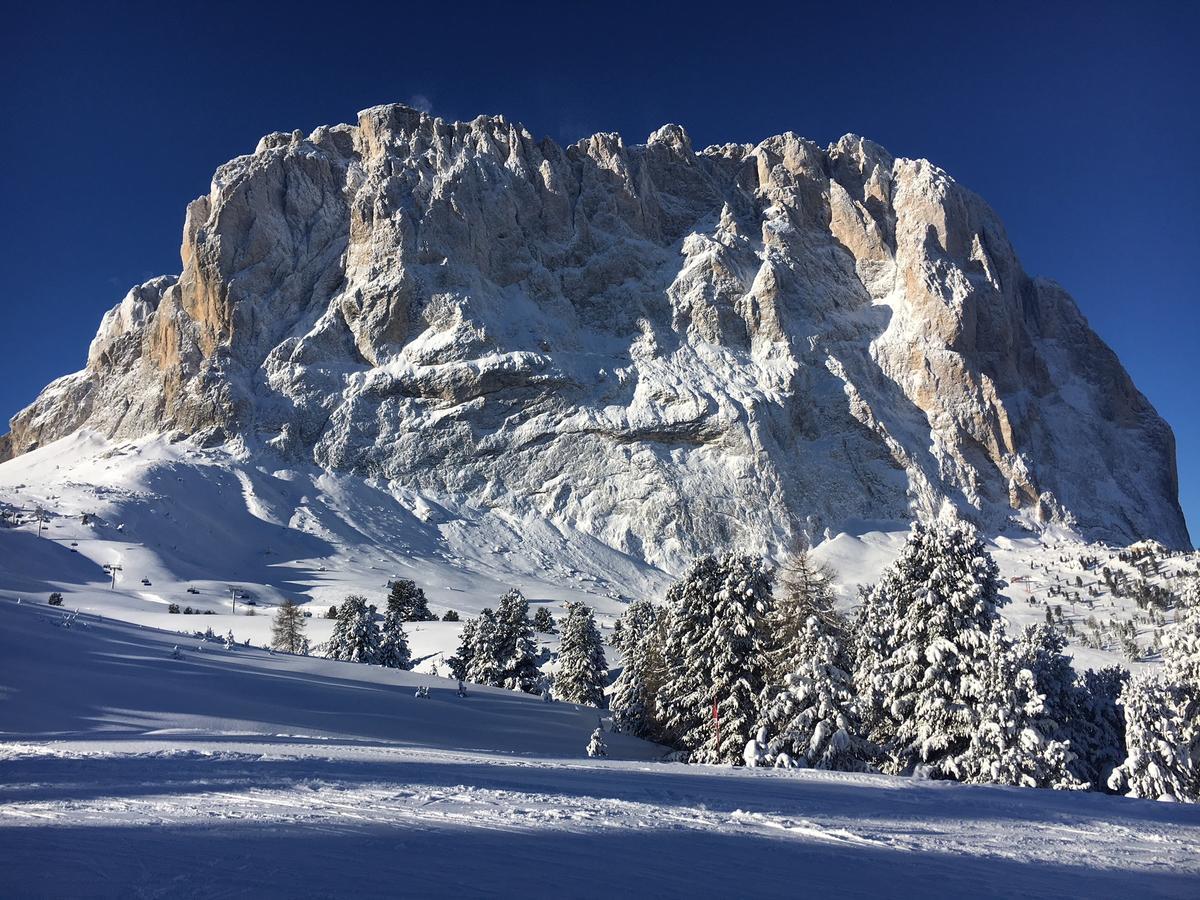 Hotel Piz Seteur セルヴァ・ディ・ヴァル・ガルデーナ エクステリア 写真